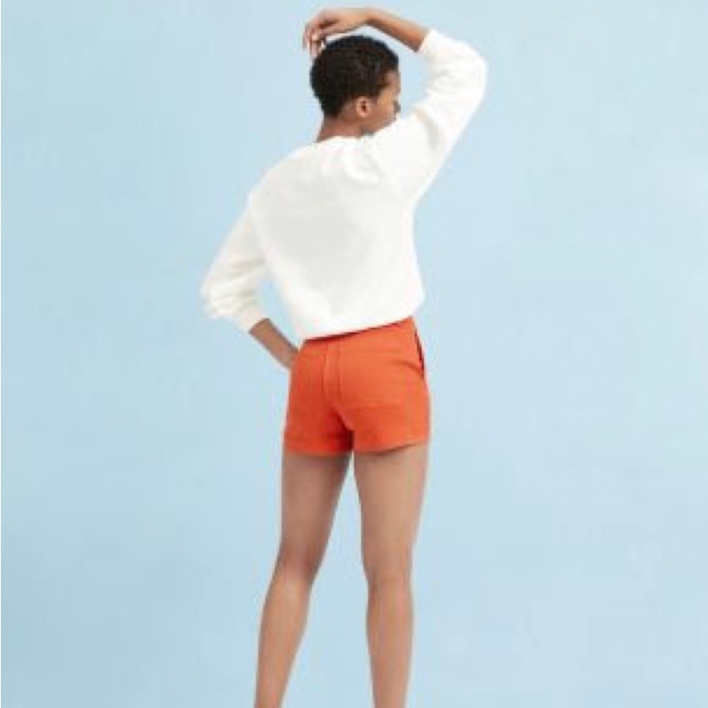 Everlane Cotton Twill Short (Rust)